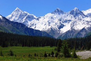 高山
